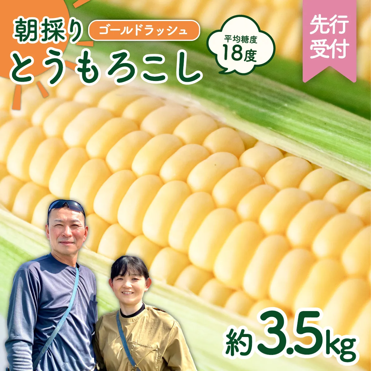 【先行予約 2026年6月下旬以降発送 】 【 令和8年産 】  朝採り とうもろこし （ ゴールドラッシュ ） 約 3.5kg トウモロコシ 朝採り 甘い 新鮮 スイートコーン コーン 野菜 極甘 岩田さん 2025 [AX058ya]