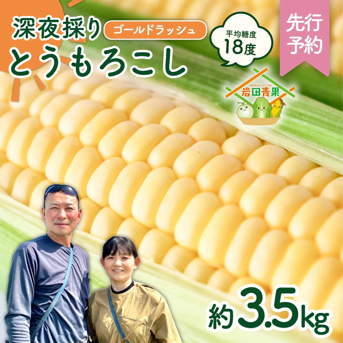 【先行予約 2026年6月中旬以降発送 】 【 令和8年産 】  深夜採り 朝出荷 とうもろこし （ ゴールドラッシュ ） 約 3.5kg トウモロコシ 深夜採り 甘い 新鮮 スイートコーン コーン 野菜 極甘 岩田さん 2025 [AX058ya]