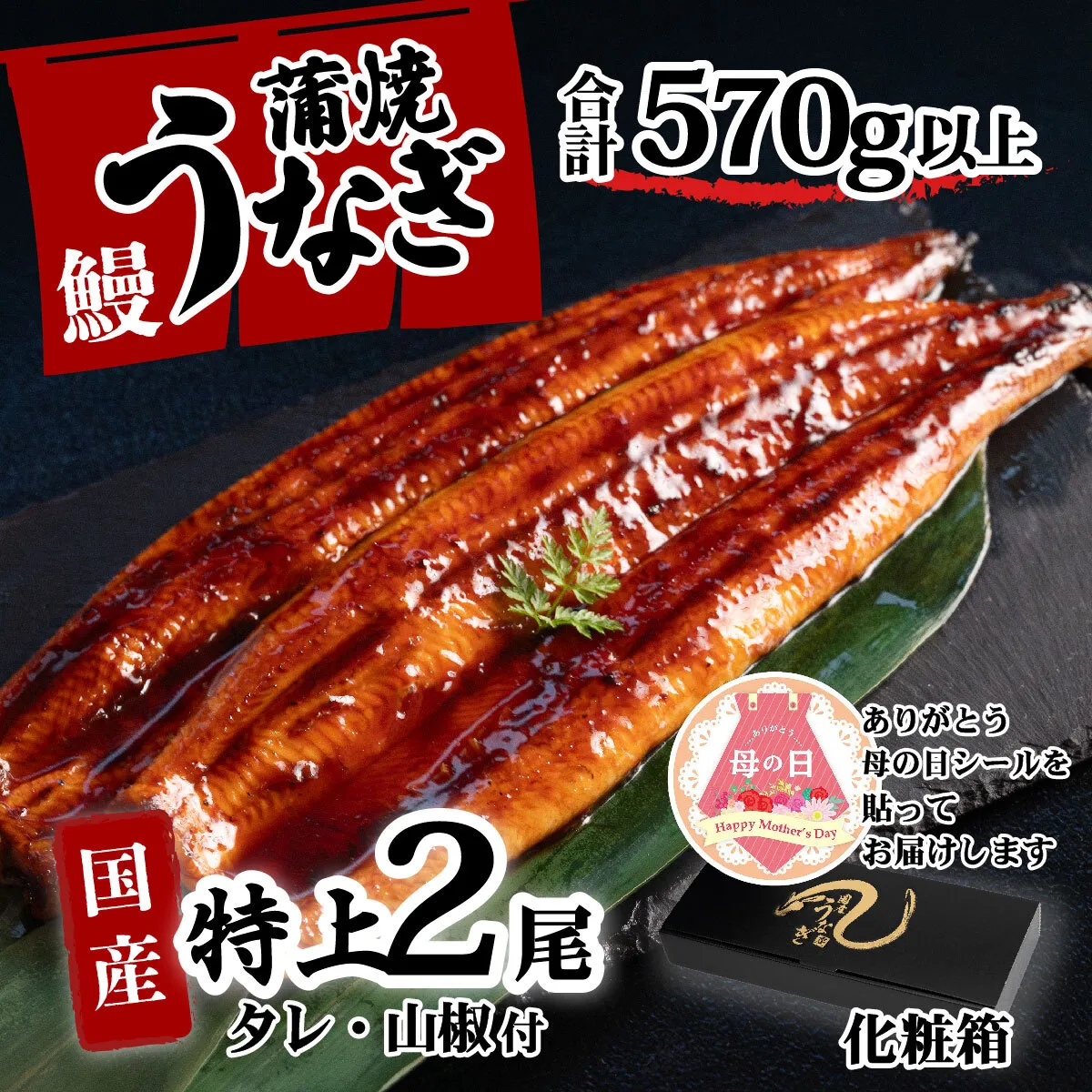 【母の日】【化粧箱】特上 国産うなぎ 蒲焼 2尾セット 【合計570g以上】 タレ・山椒付 ウナギ 鰻 うな重 ひつまぶし 人気 茨城 八千代町 ふるさと納税 冷凍 ギフト 化粧箱 母の日
