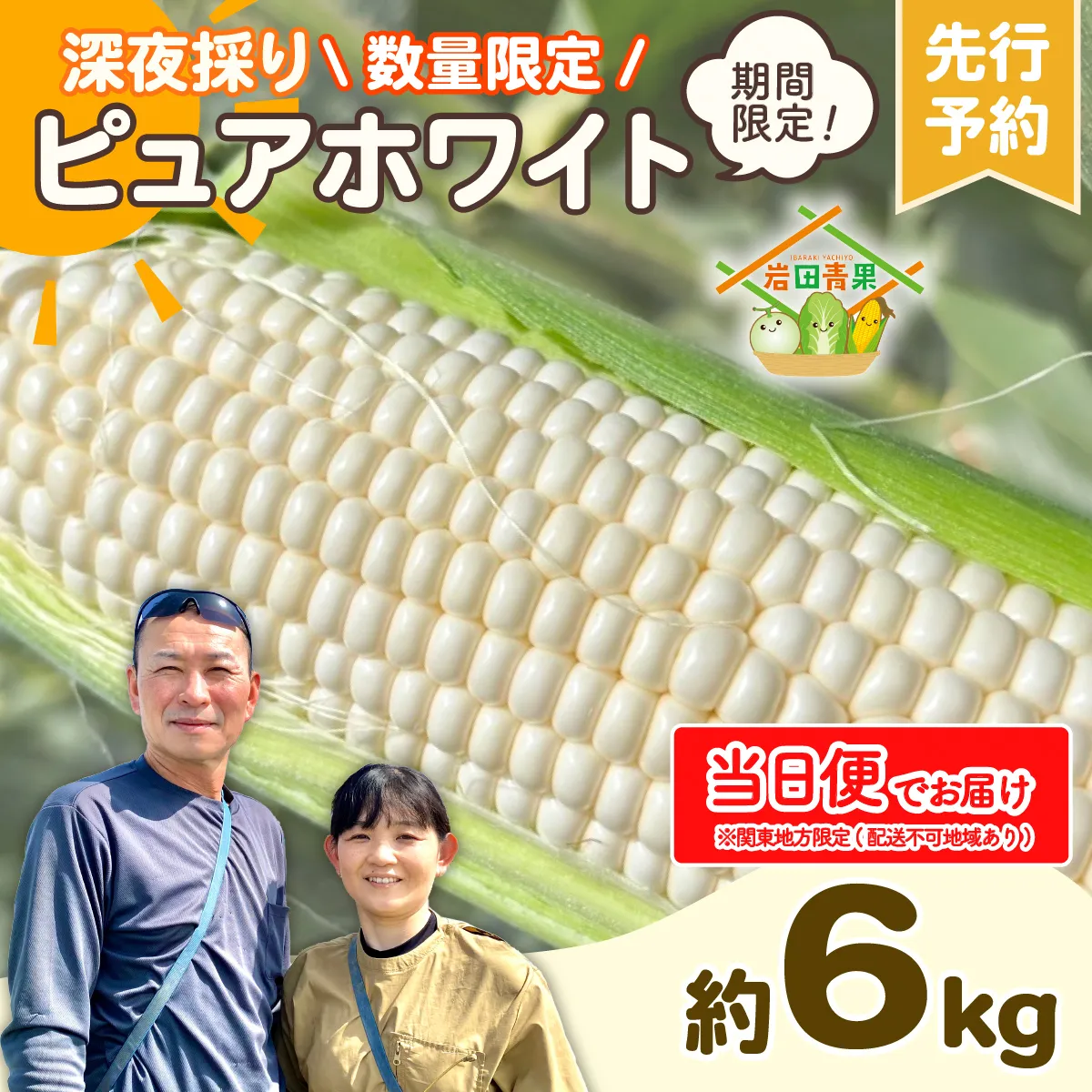 【関東+山梨県 限定当日便】【先行予約 2026年6月下旬以降発送 】 【 令和8年産 】 深夜採り 朝出荷 とうもろこし ピュアホワイト 約6kg トウモロコシ スイートコーン コーン 野菜 産地直送 期間限定 極甘 岩田さん 昼めし旅 甘い 生食 [AX068ya]