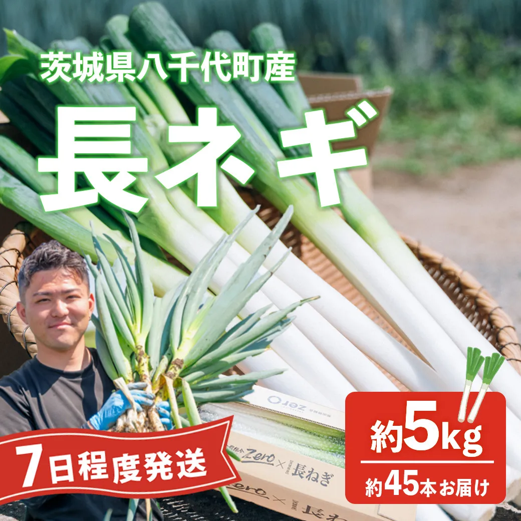 長ネギ 約5kg 約45本 茨城県産 八千代町産 野菜 農家直送 化成肥料不使用 有機肥料100% ねぎ 長ねぎ ネギ 旨味 認定農業者 9000円 [DJ003ya]