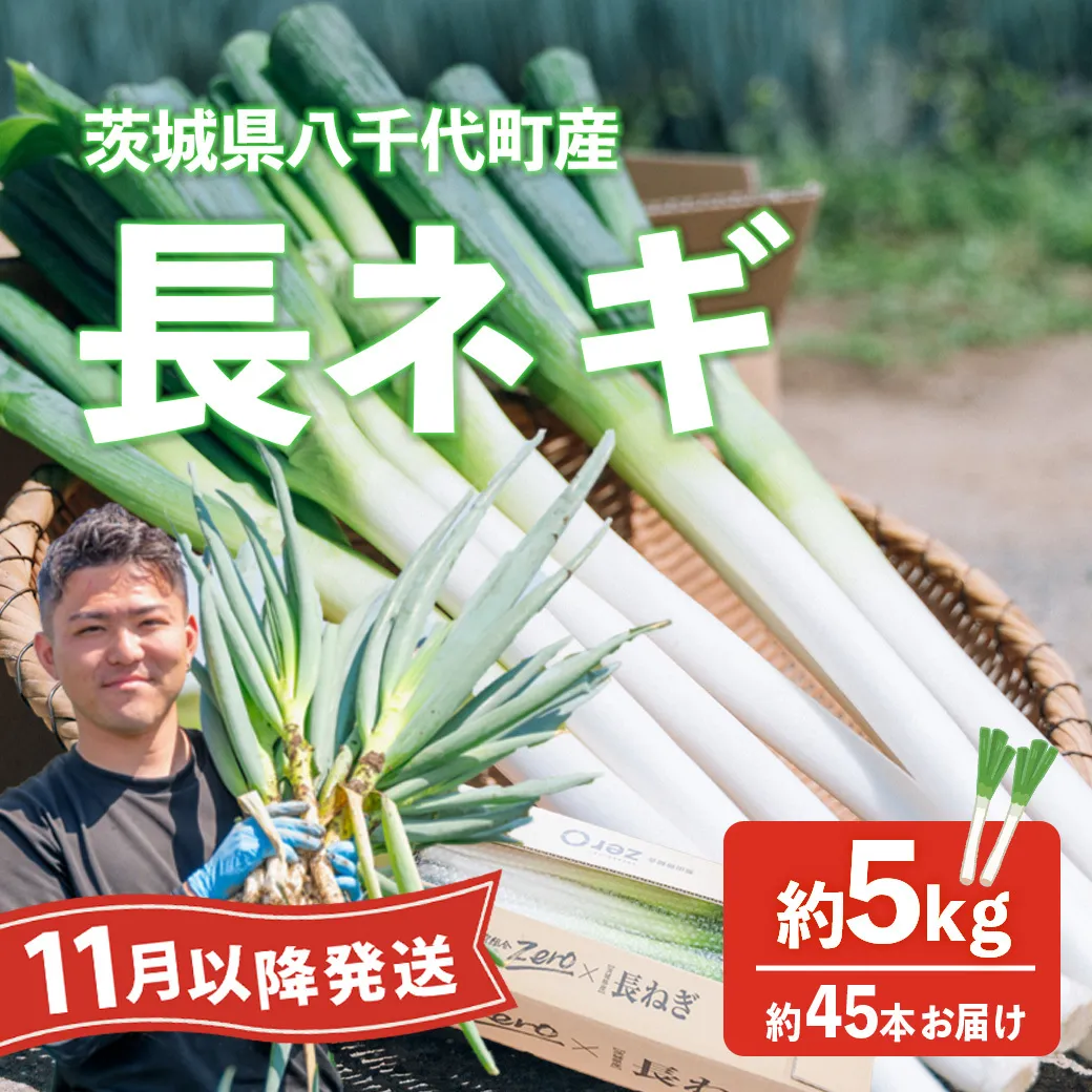 【先行受付 2026年11月以降発送開始】長ネギ 約5kg 約45本 茨城県産 八千代町産 野菜 農家直送 化成肥料不使用 有機肥料100% ねぎ 長ねぎ ネギ 旨味 認定農業者 9000円 [DJ004ya]