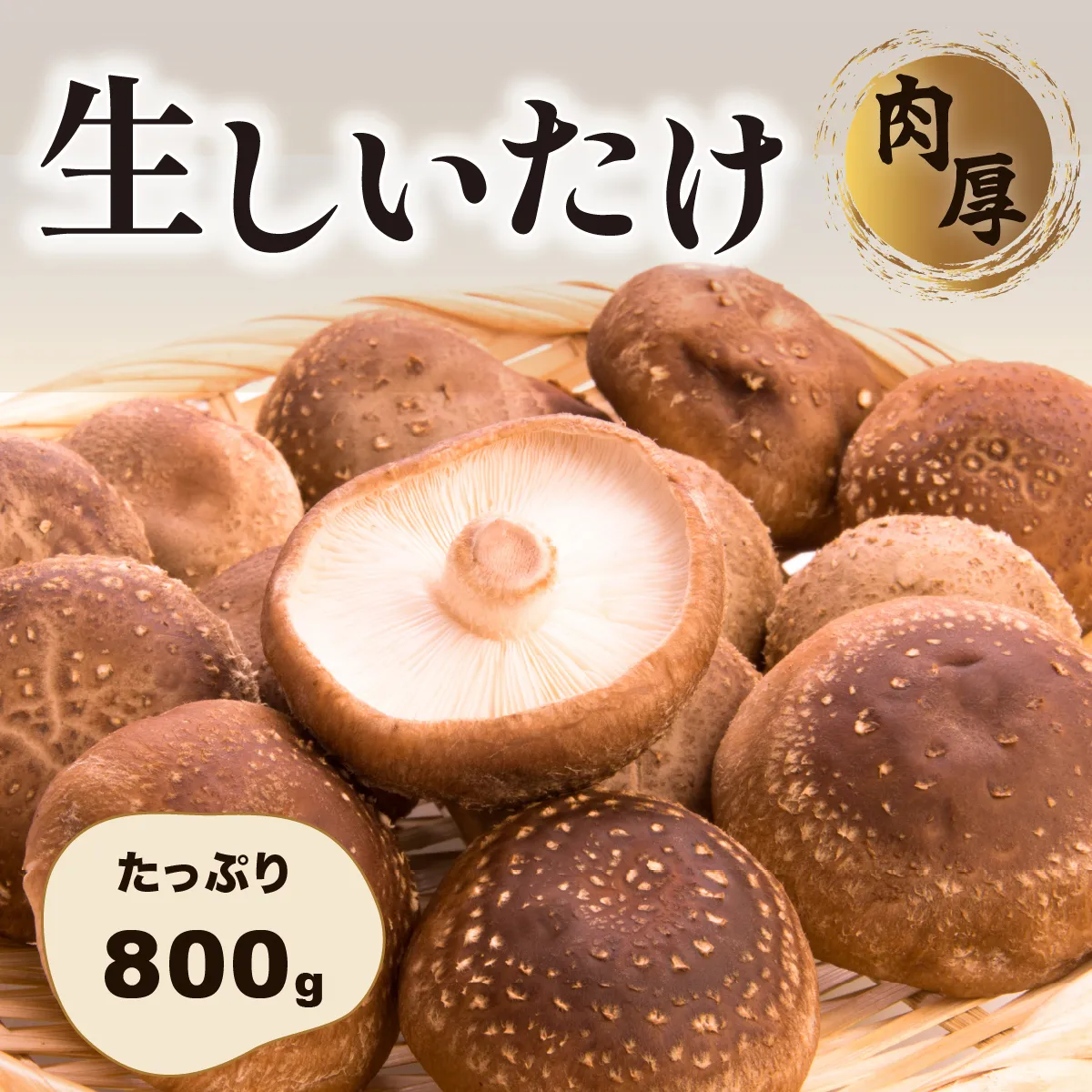 肉厚生しいたけ 800g　椎茸 しいたけ シイタケ 肉厚 生椎茸 国産 [DL002ya]
