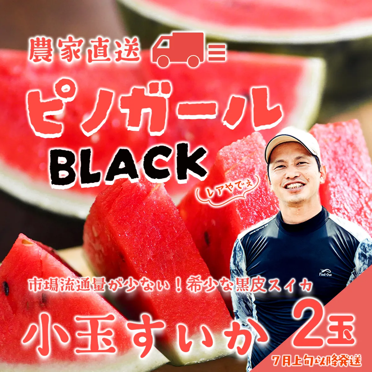 【 先行予約 2027年7月上旬以降発送 】八千代町産 黒皮 小玉スイカ ピノガールBLACK 1箱（2玉入）タネが小さい すいか [SF950ya]