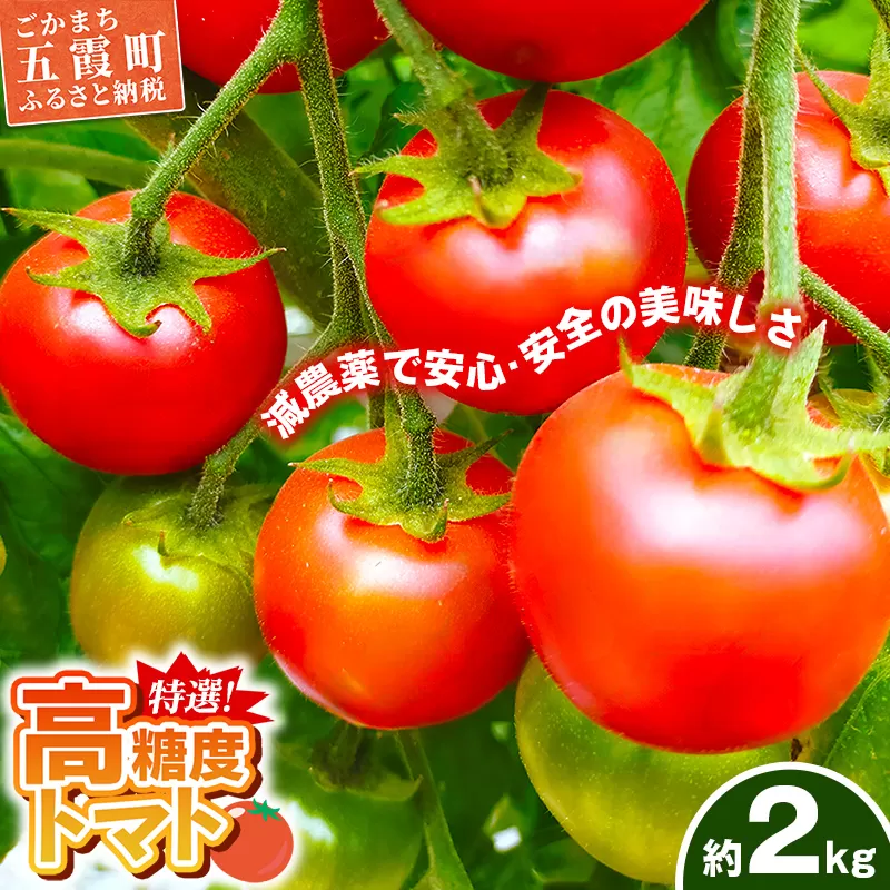 山中トマト農園がお届けする！五霞町の特選 高糖度トマト 2箱（約2kg）／ 完熟 甘い 減農薬 こだわり 贈り物 エクセレントトマト 中玉トマト 野菜 とまと 茨城県 五霞町