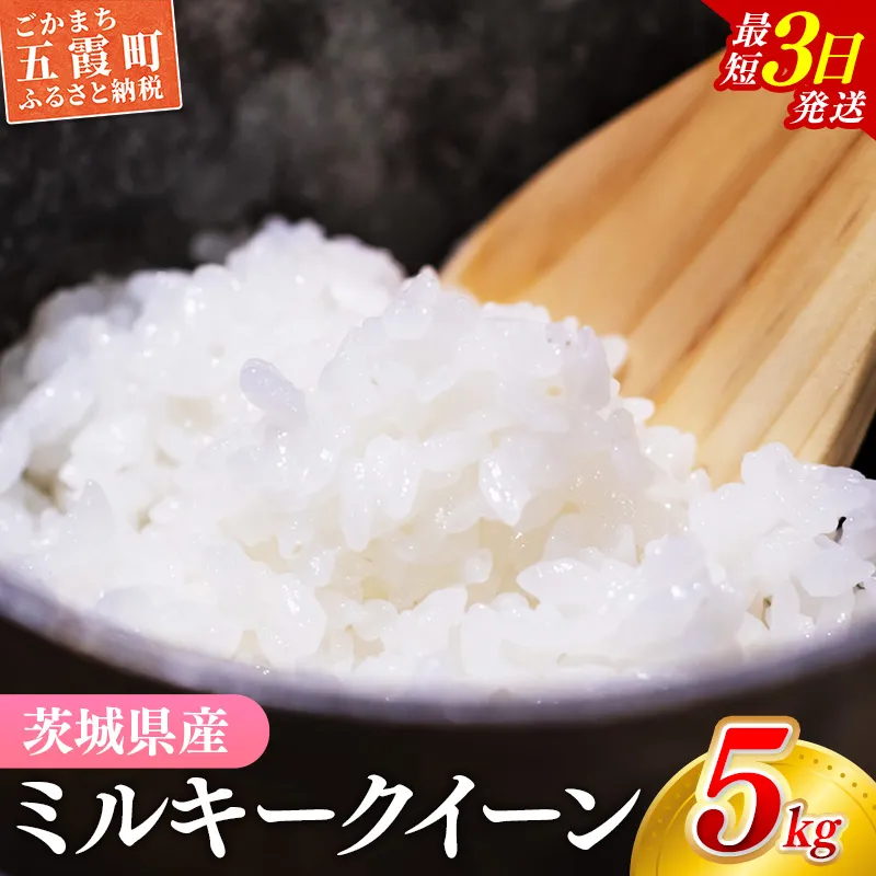 【新米】 令和8年産 『ミルキークイーン』精米 5kg (5kg×1袋) 出荷日に合わせて精米 / 米 お米 10kg コメ こめ 新米 人気 銘柄 家庭用 中山産業 茨城県産 茨城県 五霞町