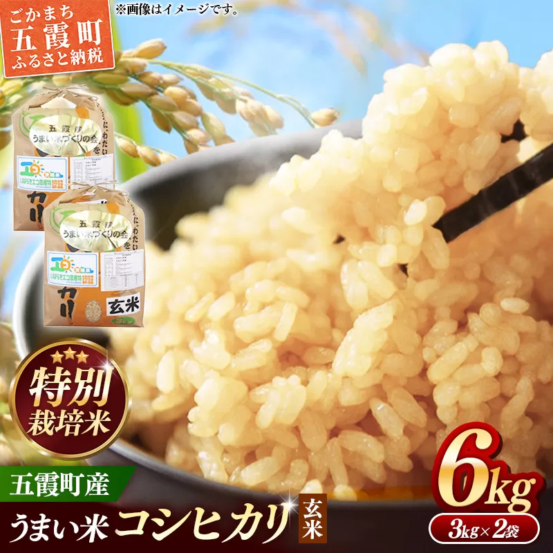 【特別栽培米】五霞町産うまい米コシヒカリ（玄米）6kg ／ 令和7年産 お米 こしひかり 減農薬 減化学肥料 茨城県 認証 取得 健康 環境【価格改定】