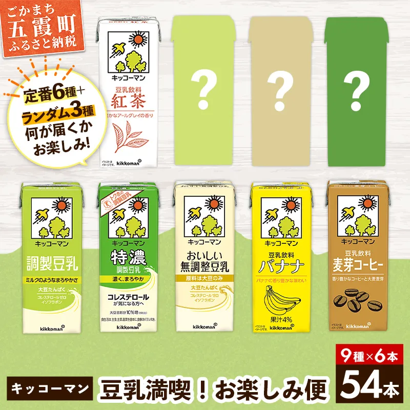【合計200ml×54本】キッコーマン 豆乳満喫! お楽しみ便 / 9種 各6本 計54本 詰め合わせ アソート 飲み比べ 豆乳飲料 豆乳 健康 おまかせ おやつ 大豆 パック 定番 飲み切り おすすめ 茨城県 五霞町