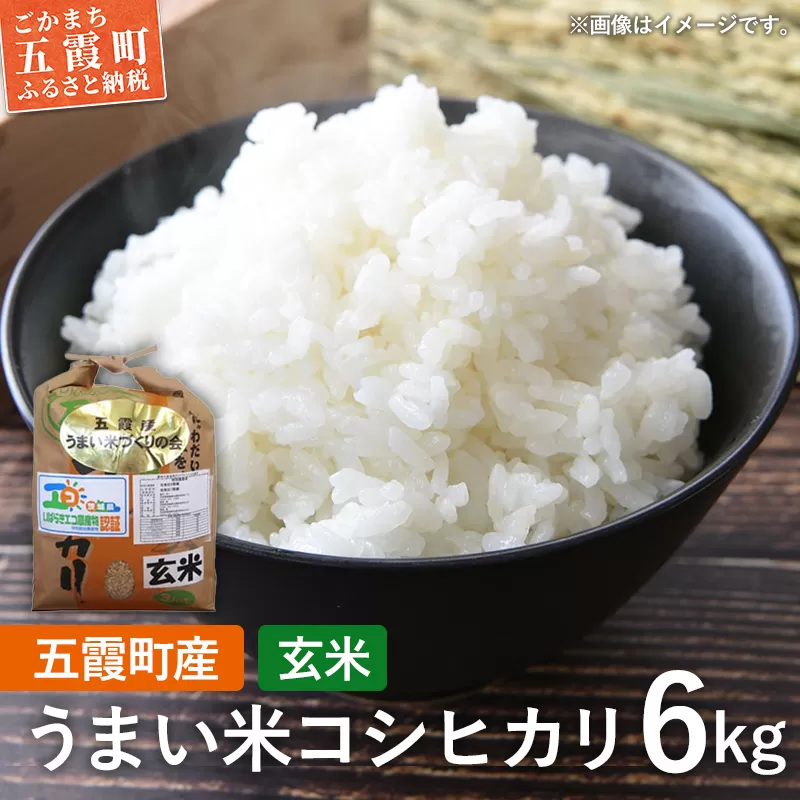 五霞町産うまい米コシヒカリ(玄米)6kg / 令和7年産 お米 こしひかり 健康 茨城県【価格改定】