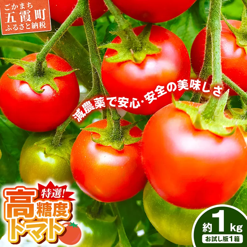 山中トマト農園がお届けする！五霞町の特選 高糖度トマト お試し 1箱（約1kg）／ 完熟 甘い 減農薬 こだわり リコピン エクセレントトマト 中玉トマト 野菜 とまと 茨城県 五霞町