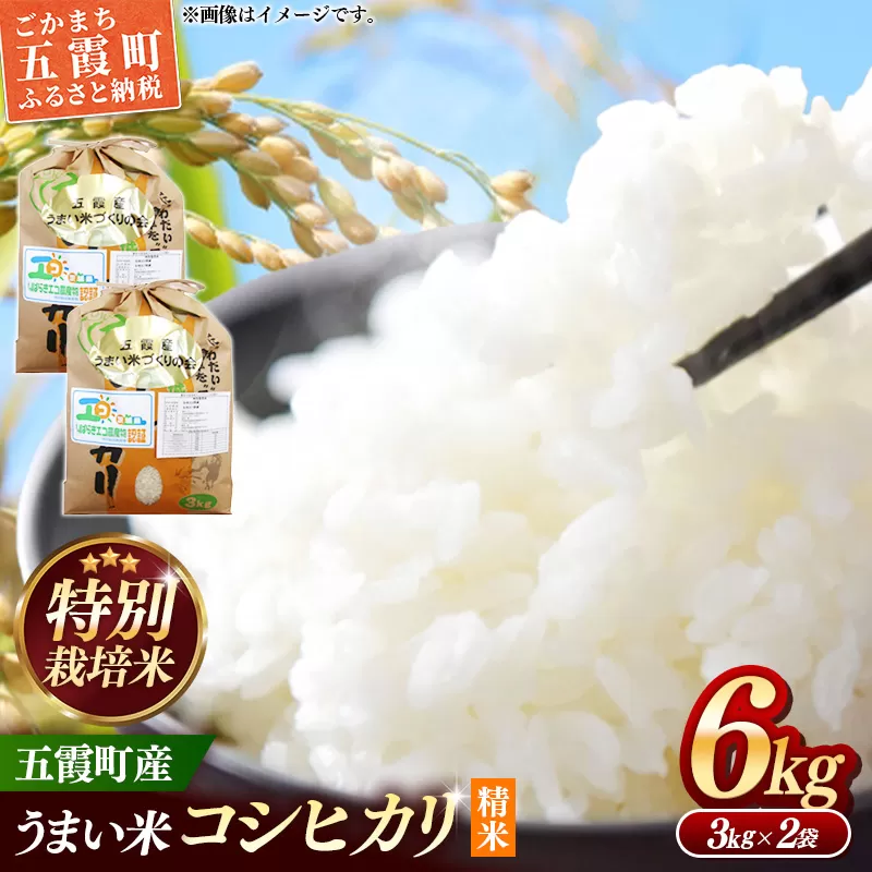 【特別栽培米】五霞町産うまい米コシヒカリ（精米）6kg ／ 令和7年産 お米 白米 こしひかり 減農薬 減化学肥料 茨城県 認証 取得 健康 環境【価格改定XA】