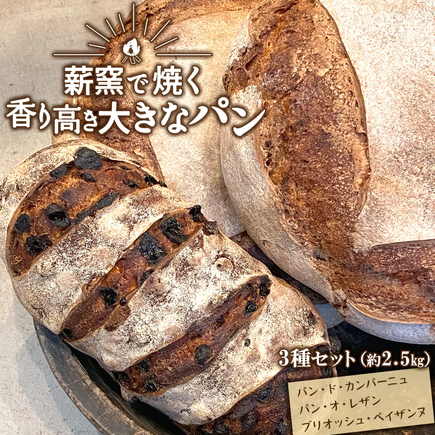 【薪窯焼き】香り高い大きなパン 3種セット (カンパーニュ・レザン・ブリオッシュ) ハード系パン レーズン パン セット K2686