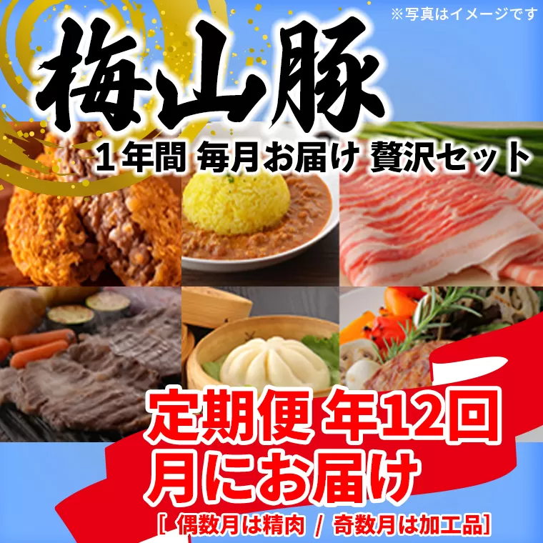 K1877 【12回毎月定期便】塚原牧場の幻の豚「梅山豚」の贅沢定期便  ブランド豚 メイシャントン 境町