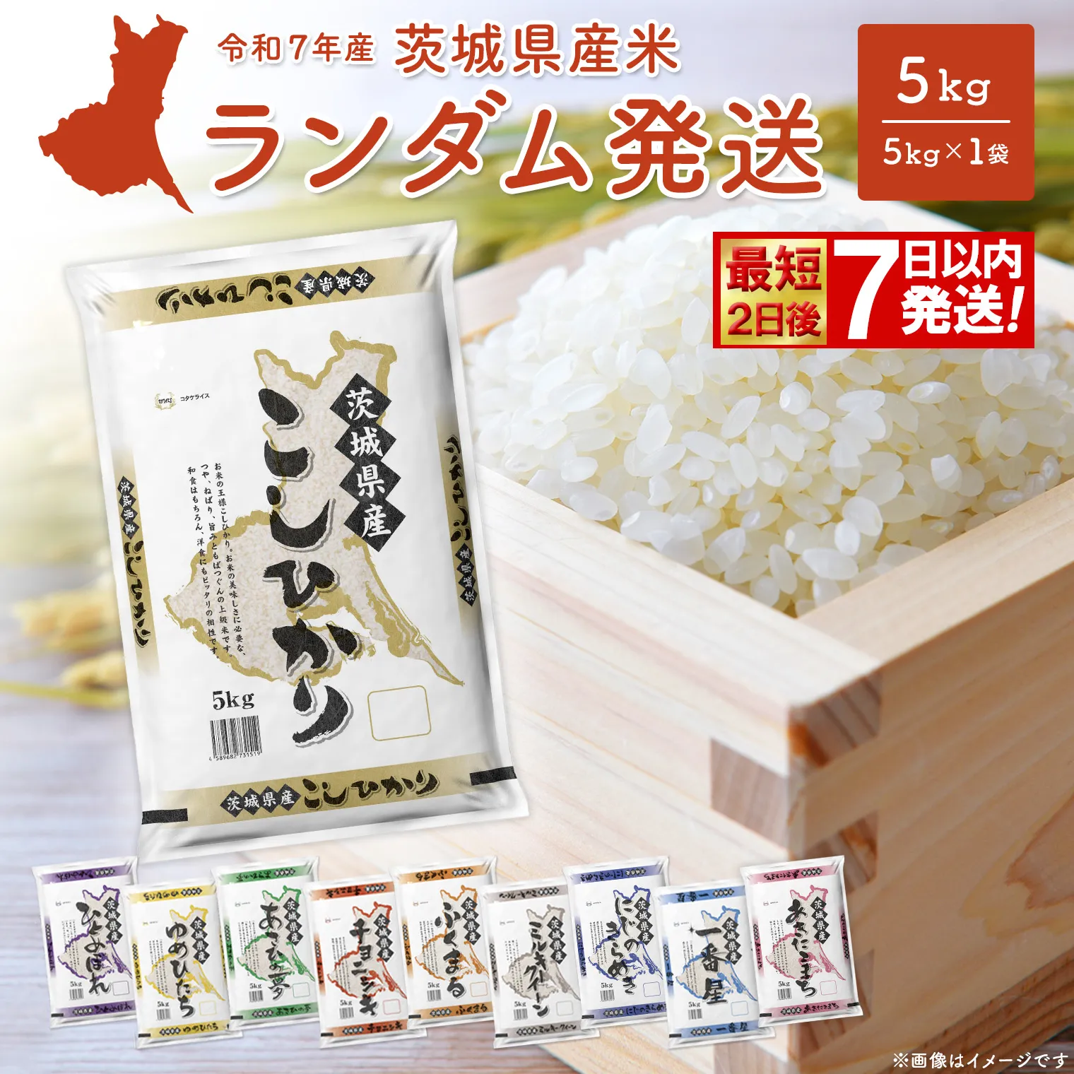◎最短2日後発送◎ ランダム 5kg 茨城県産スピード便 最速 最短 米 精米 小分け 2025年産 【令和7年産/白米】 K2464