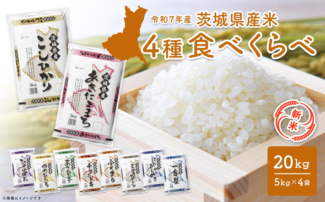 茨城令和4年産新米ミルキークイーン玄米20㎏ 茨城令和4年産ミルキークイーン玄米20kg