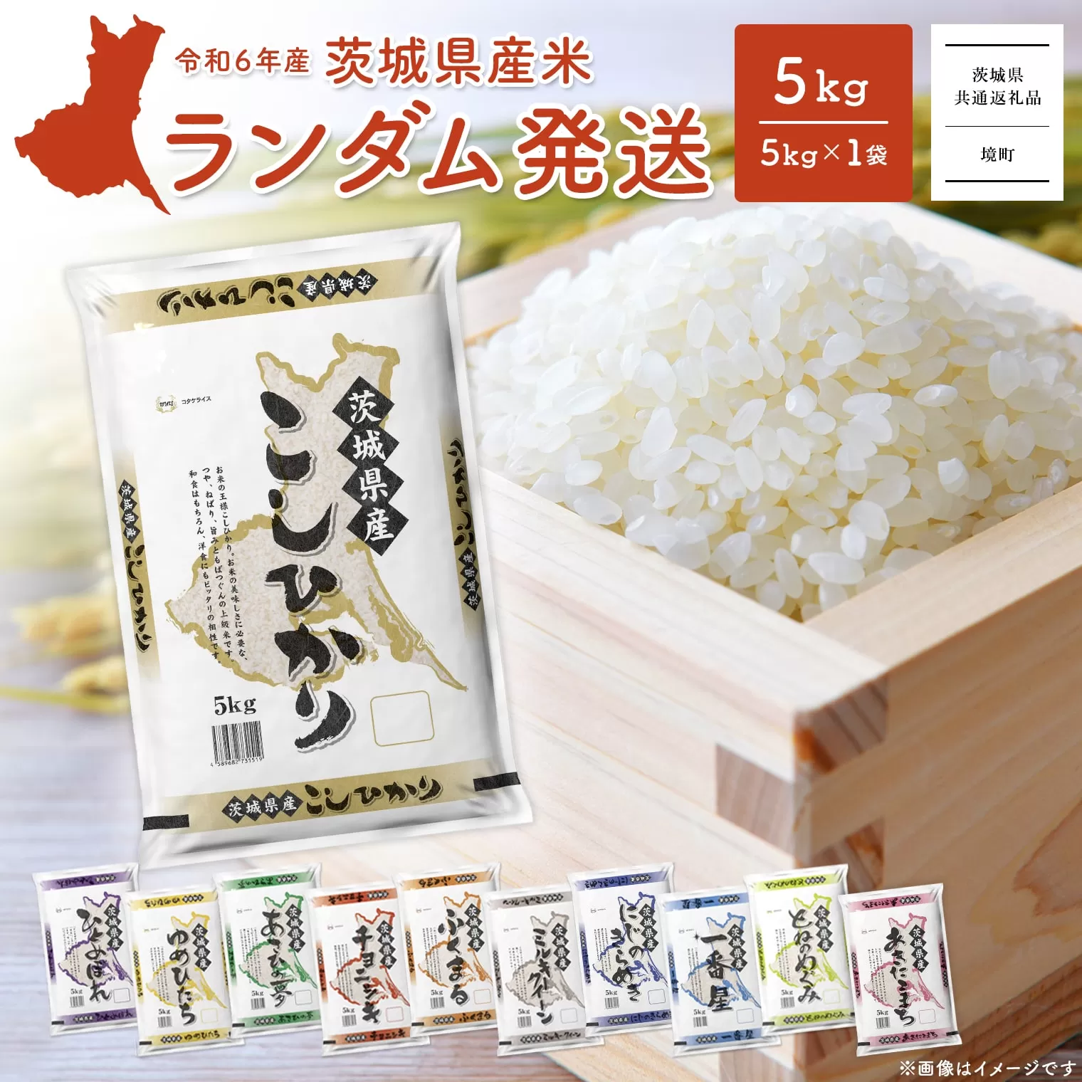 K2464B【令和6年産】※ランダム※ ＜2025年05月内発送＞  お米 5kg  茨城県産 白米