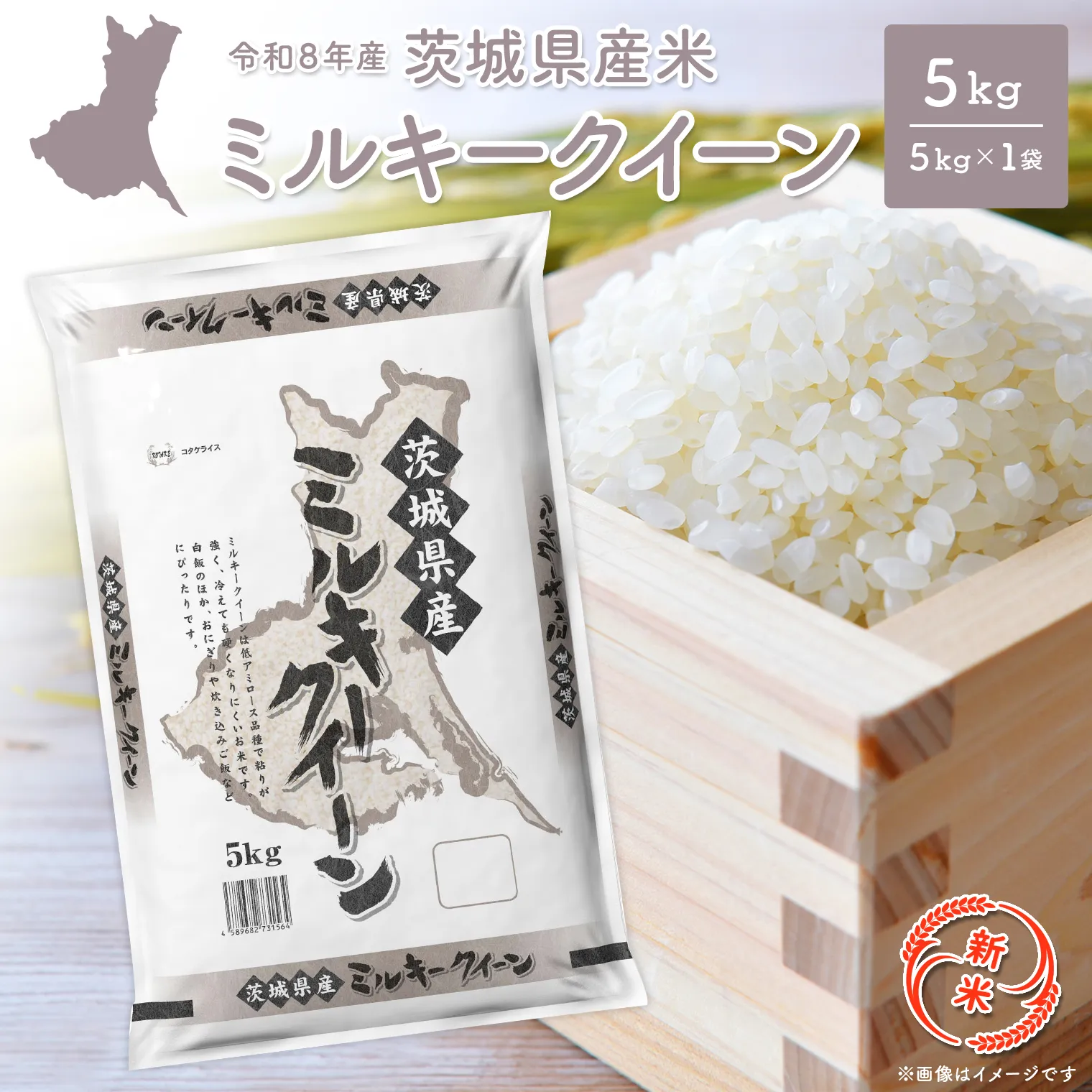 ◎新米◎ ミルキークイーン 5kg 米 小分け 茨城県産 2026年産 【令和8年産/白米】K2660