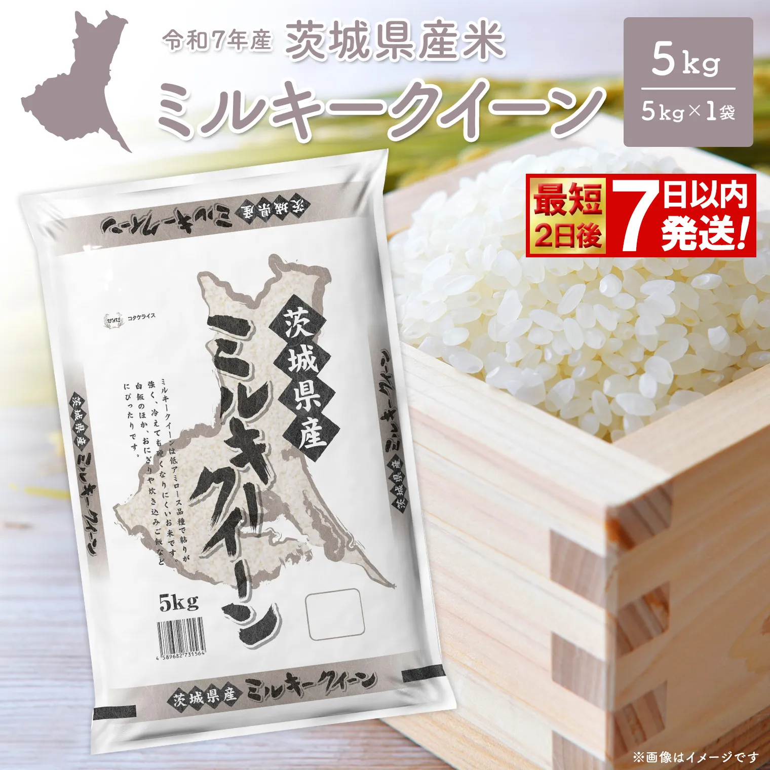 ◎最短2日後発送◎ ミルキークイーン 5kg×1袋 茨城県産 少量 人気 米 【令和7年産/白米】 K2660