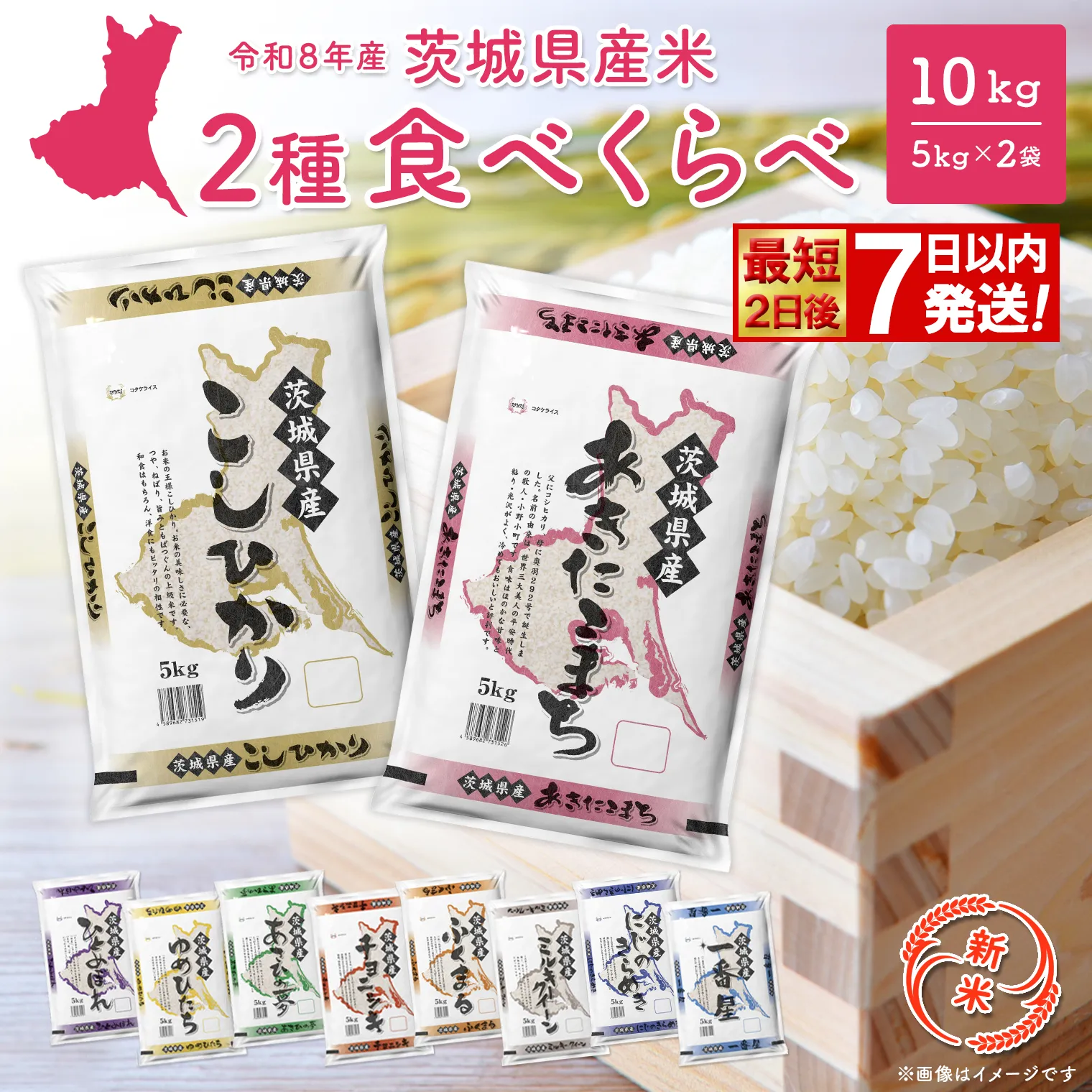【新米/白米】◎最短2日後発送◎ 令和8年産 2種食べ比べ 10kg スピード発送 茨城県産 米 最短 最速 精米 小分け 2026年産 国産 人気 K2457