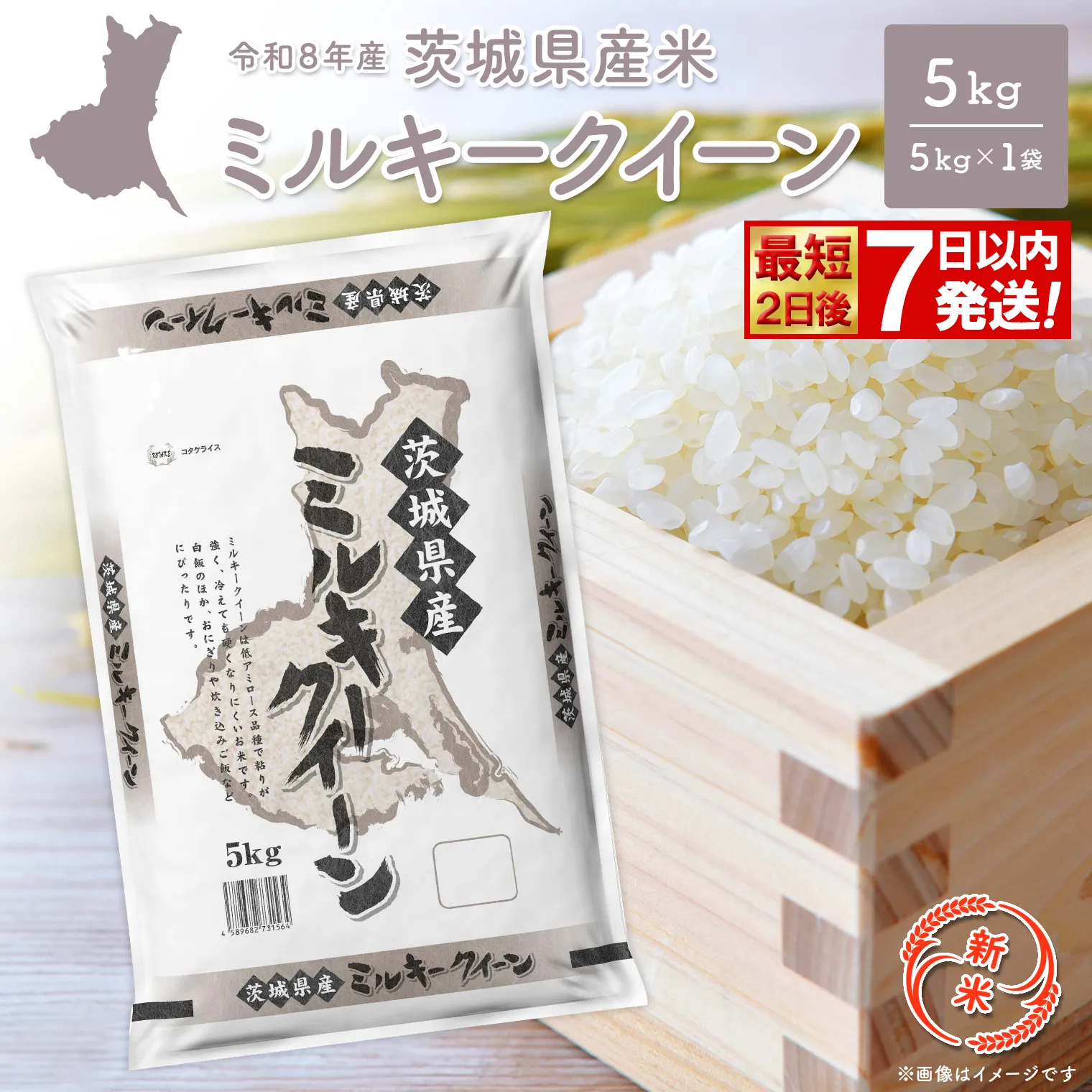 【新米/白米】◎最短2日後発送◎ 米 ミルキークイーン 5kg 令和8年産 茨城県産 精米 小分け 2026年産 国産 人気 K2660