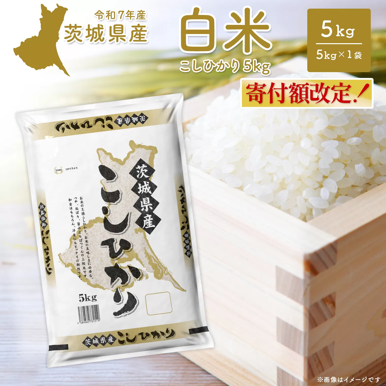 こしひかり 茨城県産 5kg〈令和8年3月内発送〉【令和7年産/白米】茨城県産 米 小分け 2025年産 コシヒカリ K2670