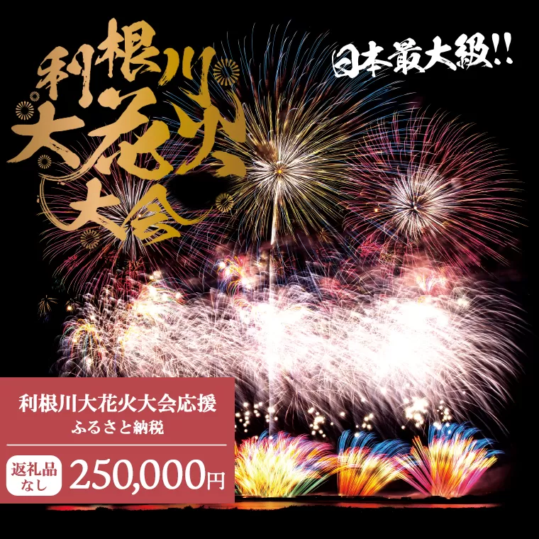 【返礼品なし】利根川大花火大会応援ふるさと納税  (250000円分)  【茨城県境町】