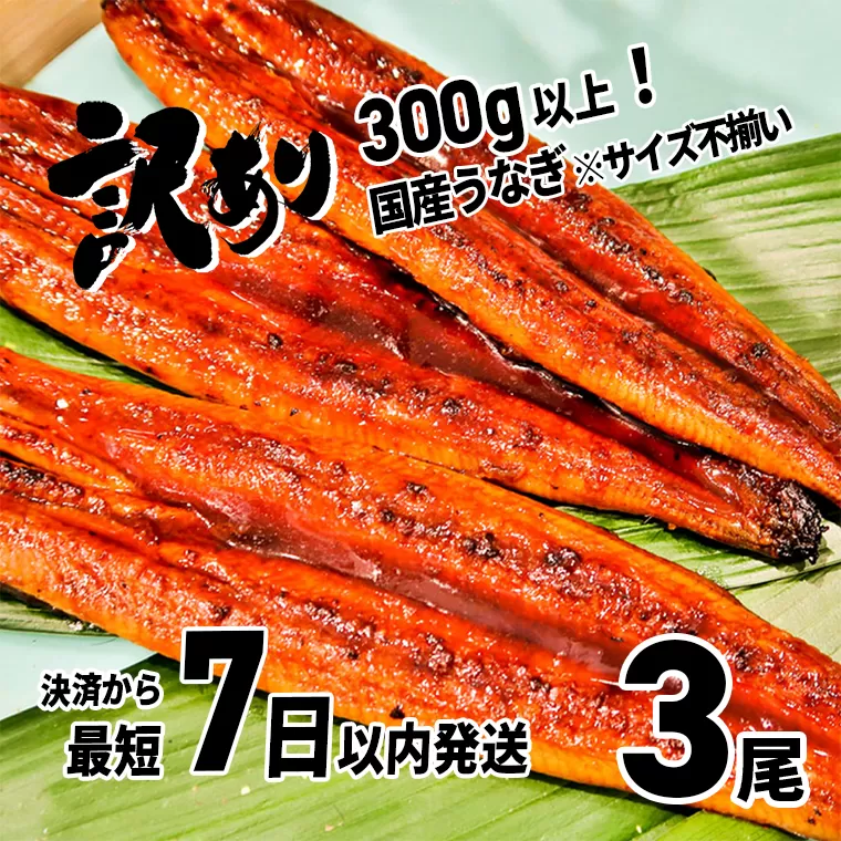 〈7日以内発送〉【訳あり】さかい河岸水産の国産うなぎ３尾 300g以上！ ※サイズ不揃い
