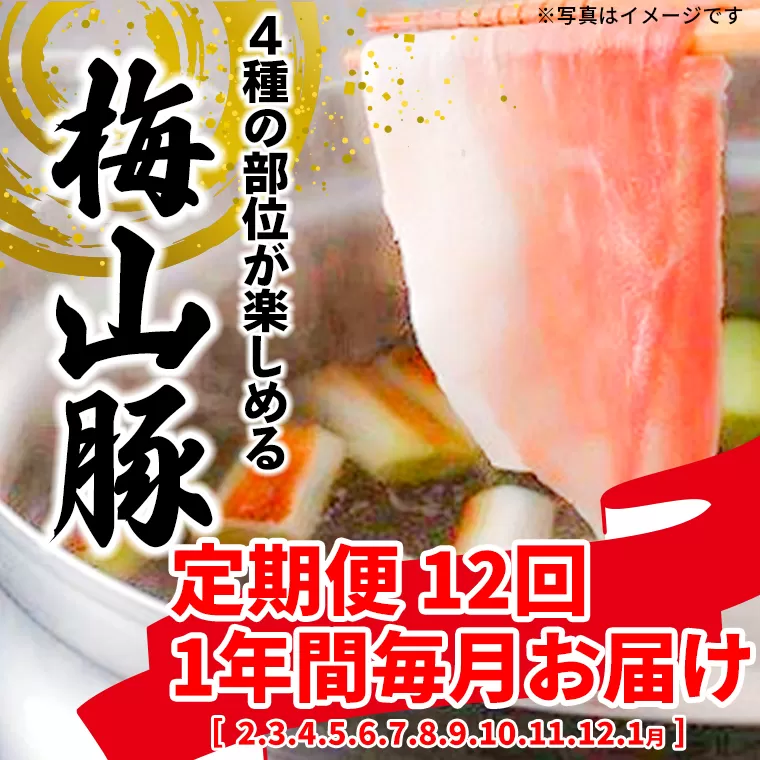 K2093 【12回毎月定期便】 塚原牧場 幻の豚 「梅山豚」 しゃぶしゃぶセット ブランド豚 メイシャントン 境町