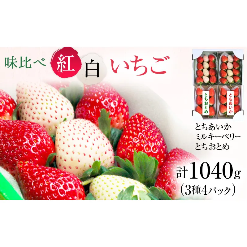 【先行予約】味くらべ紅白いちご 3種 4パック （2026年1月中旬～1月下旬） いちご 果物 フルーツ 苺 イチゴ くだもの とちあいか ミルキーベリー とちおとめ 朝取り 新鮮 美味しい 甘い