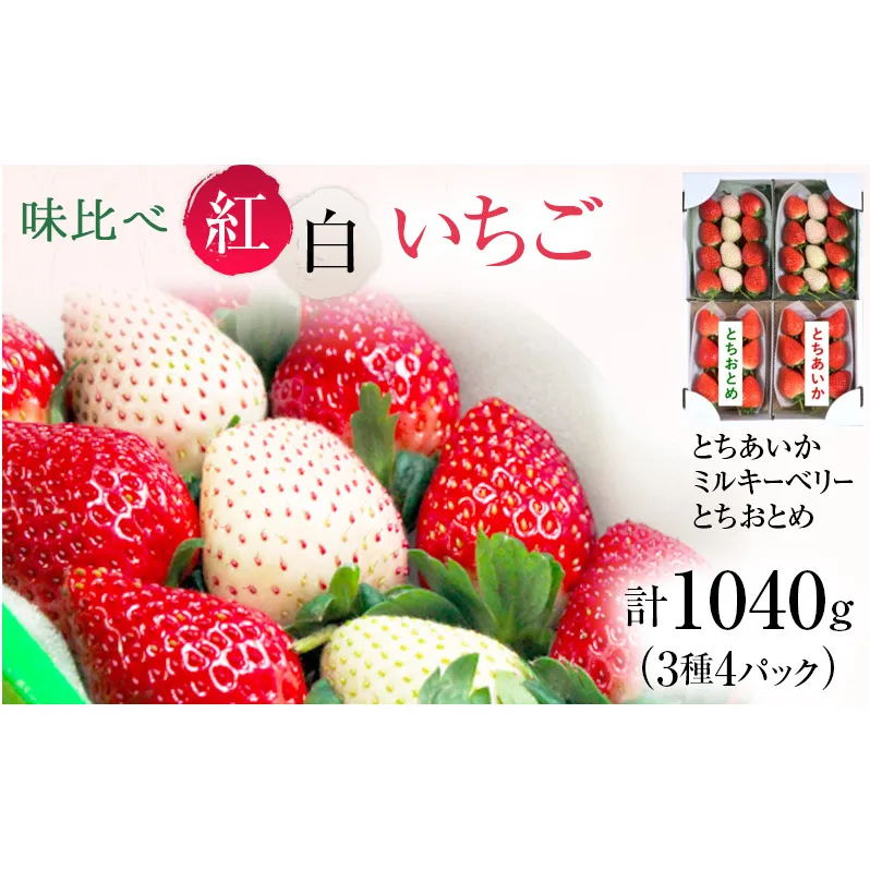 味くらべ紅白いちご 3種 4パック （3～5月発送） ｜ いちご 果物 フルーツ 苺 イチゴ くだもの とちあいか ミルキーベリー とちおとめ 朝取り 新鮮 美味しい 甘い ※2025年3月上旬～5月中旬頃に順次発送予定