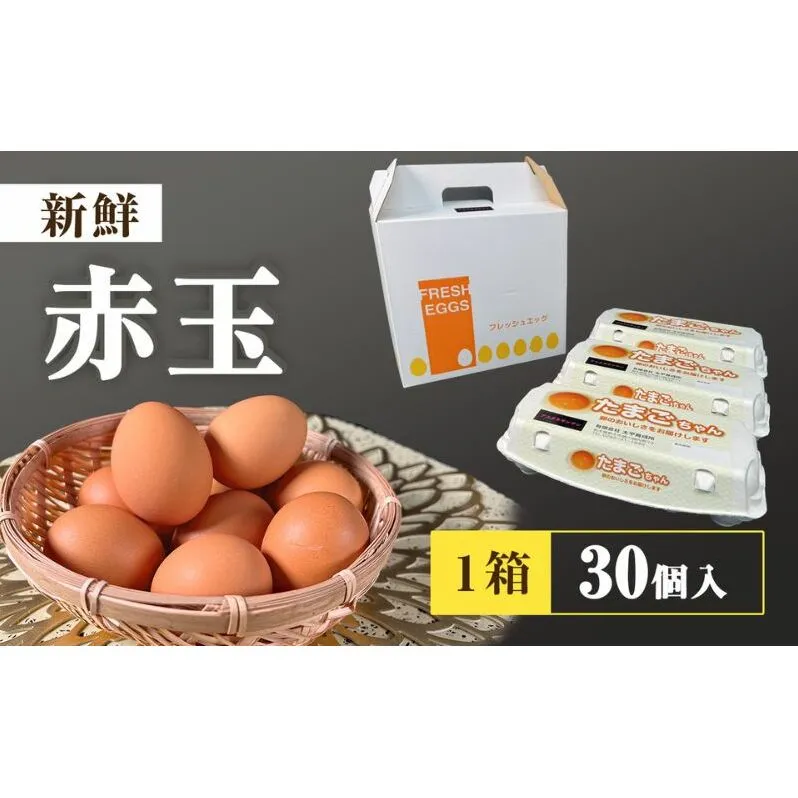 アスタキサンチンたまごちゃん 10個入り×3パック 卵 鶏卵 アスタキサンチン 抗酸化パワー 直売店 絶品 生食 人気 美味しい 話題 卵かけごはん 新鮮 