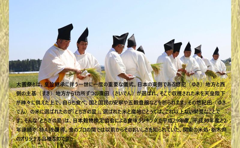 栃木県鹿沼市産 とちぎの星 無洗米 15kg(5kg×3袋) 令和6年産 栃木県鹿沼市産 とちぎの星 無洗米 15kg(5kg×3袋) 令和6年産