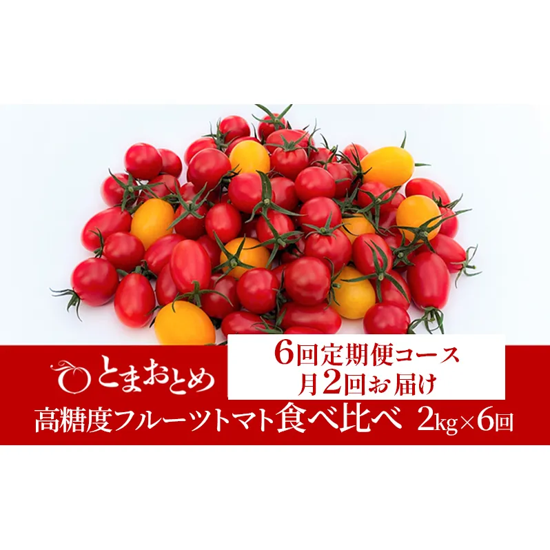 [ 定期便 月2回 計6回 ] 栃木県 鹿沼産 高糖度 フルーツトマト "とまおとめ" 食べ比べ 2kg×6回 | 野菜 トマト カキヌマファーム アイコ フルティカ アルル イエローアイコ 濃厚 甘み 旨み 入手困難 ※2026年1月中旬〜5月下旬頃に順次発送予定