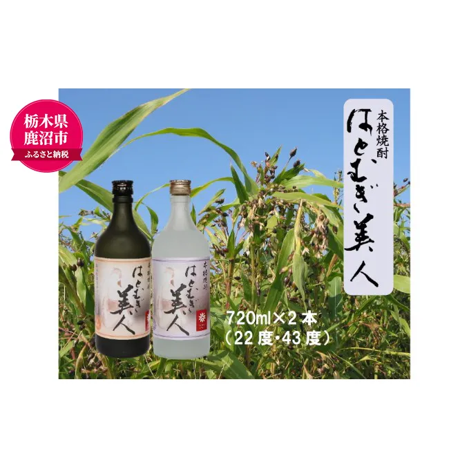 【栃木県 鹿沼市産】 本格焼酎 はとむぎ 美人 2本セット(22度・43度)各720ml×2本 酒 焼酎 麦 酒 米焼酎