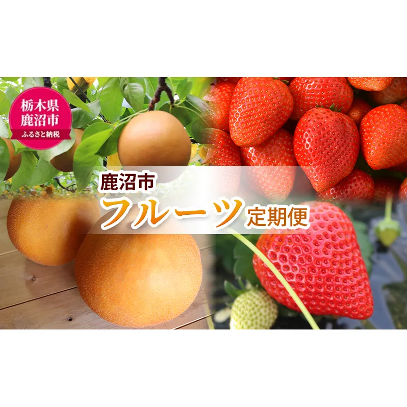【 定期便 2回 】 大玉な梨 にっこり 2玉 約2kg と いちご市 鹿沼の 美味しい「い」「ち」「ご」とちあいか 15粒入り320g 2パック のフルーツ 定期便 ｜ 梨 いちご 鹿沼市 かぬま ※2026年10月～発送