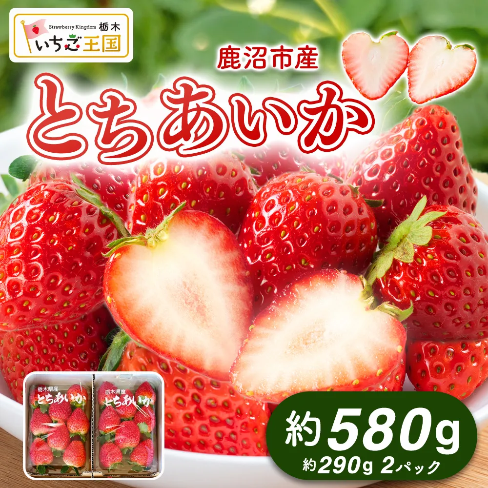 【先行予約】いちご とちあいか 出会いの森いちご園 （290g×2パック） | いちご イチゴ 苺 栃木県 果物 くだもの フルーツ とちあいか 新鮮 贈答 ギフト デザート スイーツ ※2026年12月～発送