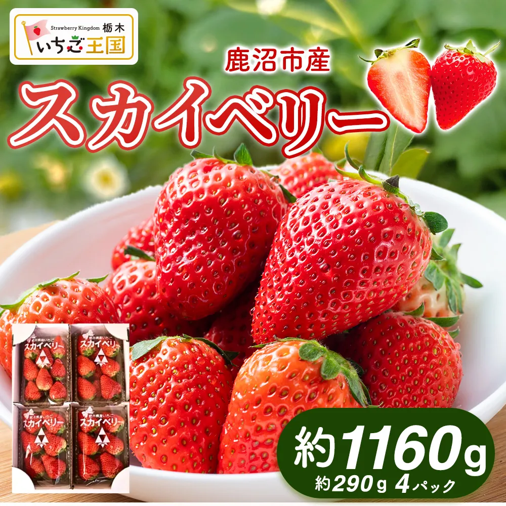 【先行予約】いちご スカイベリー 出会いの森いちご園 (290g×4パック) | いちご イチゴ 苺 栃木県 果物 くだもの フルーツ スカイベリー 新鮮 贈答 ギフト デザート スイーツ ※2026年12月~発送