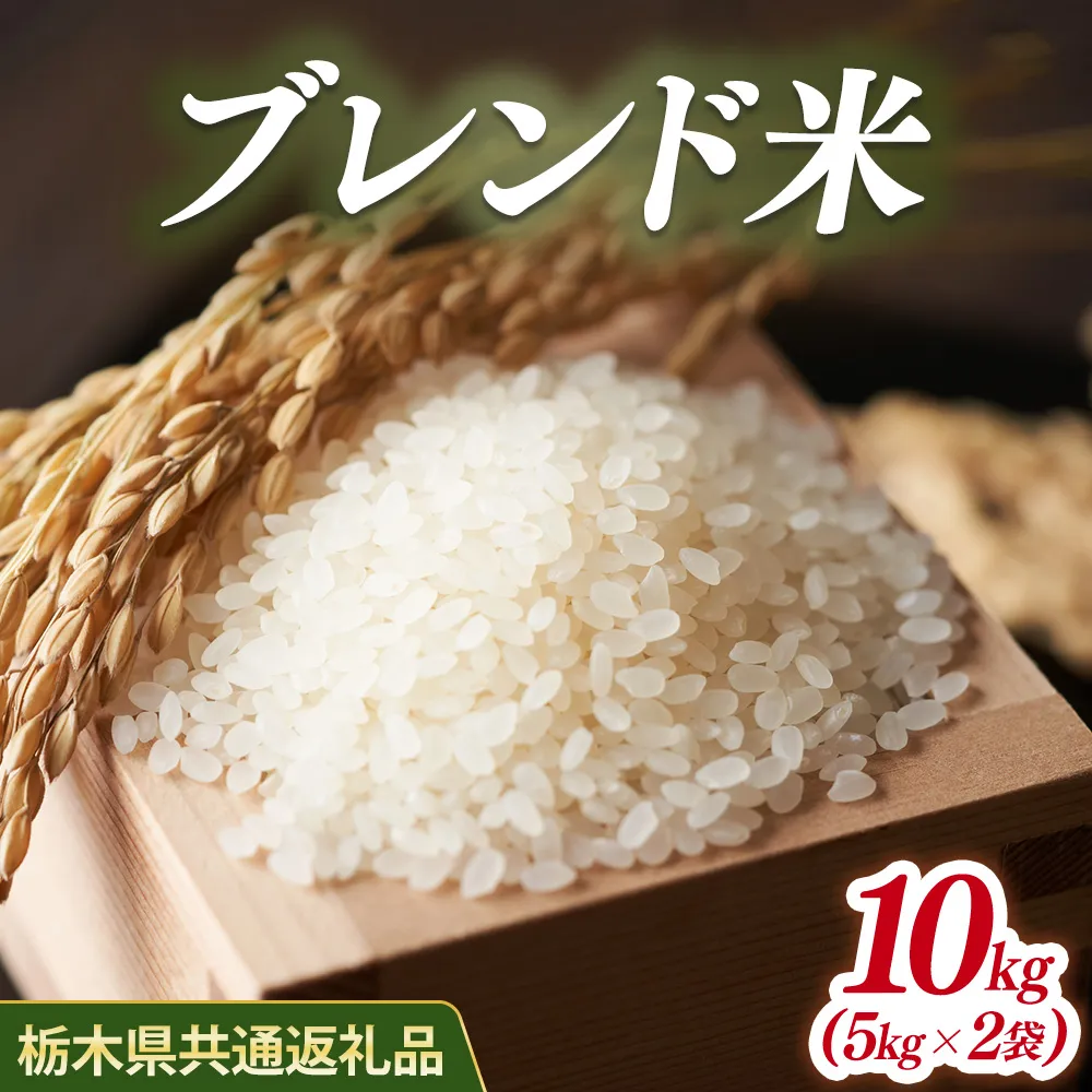 米 ブレンド米 10kg(5kg×2) 栃木県産【栃木県共通返礼品】