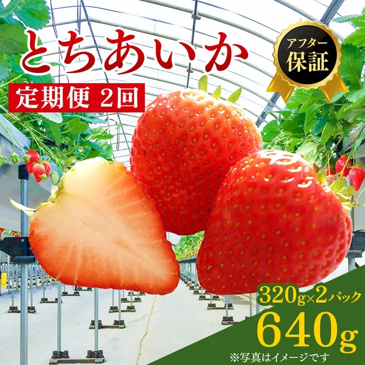 【先行予約】【定期便】いちご とちあいか 15粒入り320g 2パック 2ヶ月定期便 | イチゴ 苺 フルーツ 果物 甘い 贈答用 かぬま ※2027年1月~発送