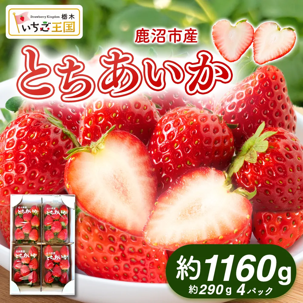 【先行予約】 いちご とちあいか 出会いの森いちご園 （290g×4パック） | いちご イチゴ 苺 栃木県 果物 くだもの フルーツ とちあいか 新鮮 贈答 ギフト デザート スイーツ ※2026年12月～発送