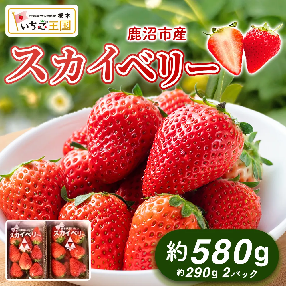 【先行予約】いちご スカイベリー 出会いの森いちご園 (290g×2パック) | いちご イチゴ 苺 栃木県 果物 くだもの フルーツ スカイベリー 新鮮 贈答 ギフト デザート スイーツ ※2026年12月~発送