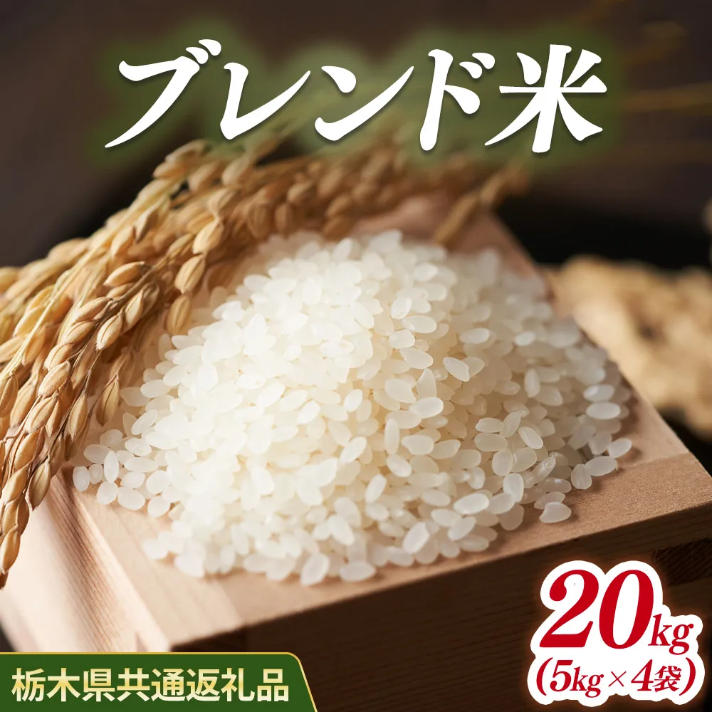 米 ブレンド米 20kg(5kg×4) 栃木県産【栃木県共通返礼品】
