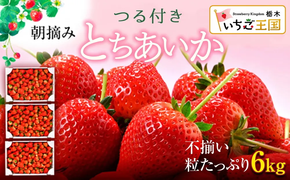【訳あり】いちご とちあいか不揃い粒 2kg×3箱 計6kg ※2027年5月〜発送
