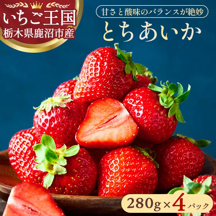 鹿沼市産 とちあいか（280g×4パック） | いちご イチゴ 苺 栃木県 果物 くだもの フルーツ とちあいか 新鮮 贈答 ギフト ※離島への配送不可 ※2026年1月上旬～3月下旬頃に順次発送予定