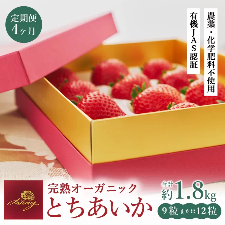 【定期便4ヶ月】完熟オーガニックとちあいか 9粒または12粒 ※2025年12月上旬～2026年4月下旬頃に順次発送予定