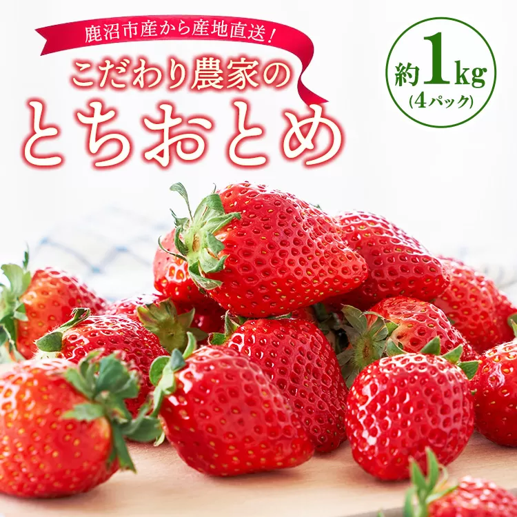 こだわり農家のとちおとめ 1kg 4パック ※2026年1月上旬～3月下旬頃に順次発送予定 ※離島への配送不可