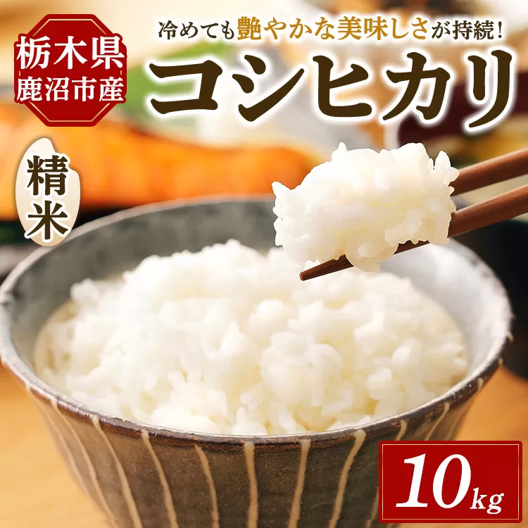 令和7年度産 コシヒカリ 精米 10kg | 白米 お米 米 こしひかり 農家直送 栃木県 鹿沼市 ※北海道・沖縄・離島への配送不可