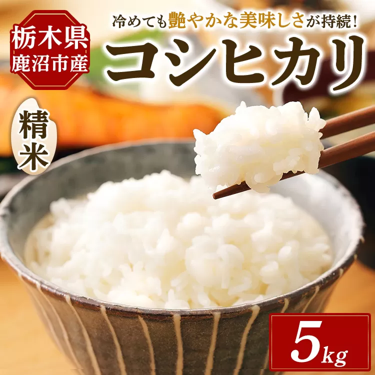 令和7年度産 コシヒカリ 精米 5kg | 白米 お米 米 こしひかり 農家直送 栃木県 鹿沼市 ※北海道・沖縄・離島への配送不可