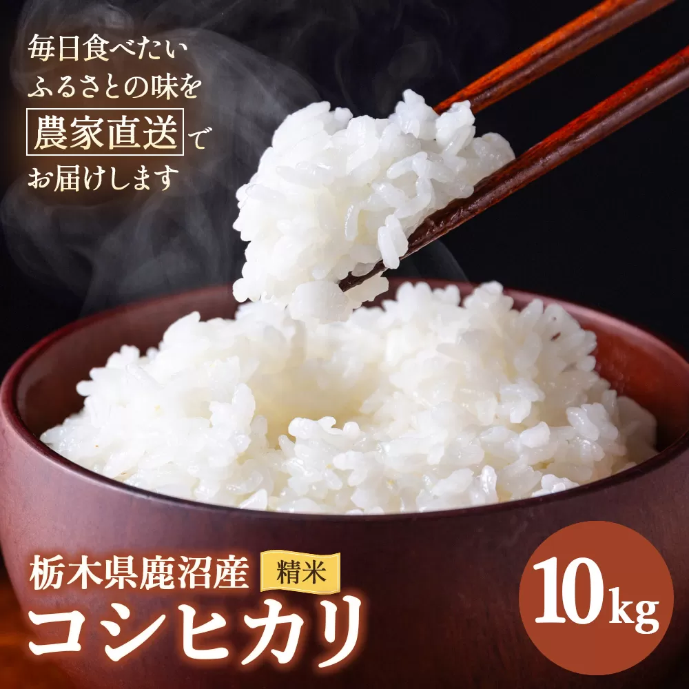 令和7年度産 コシヒカリ 精米 10kg | 白米 米 お米 こしひかり 農家直送 栃木 鹿沼市
