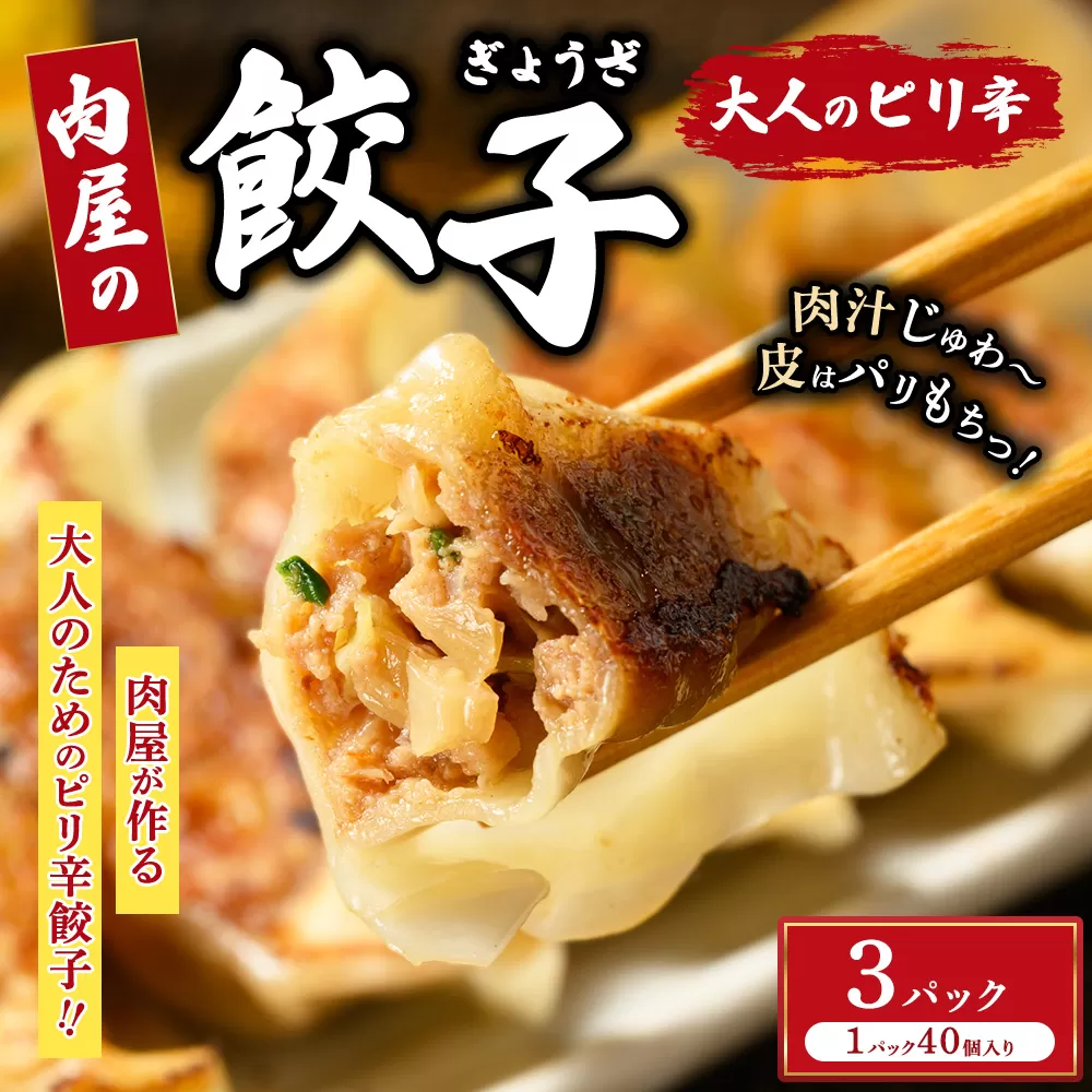 冷凍 生餃子 大人のピリ辛 肉屋の餃子（40個入り） 3パック